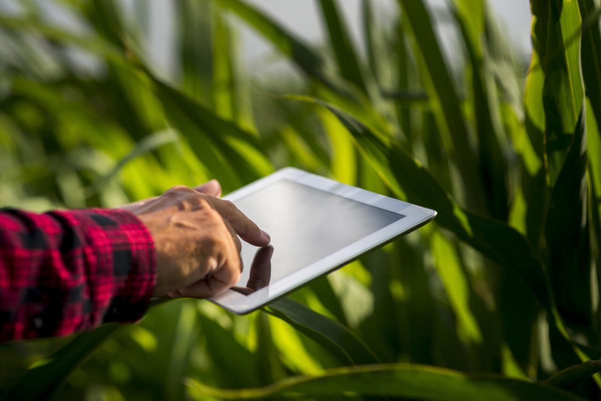 Técnico em Desenvolvimento e Reforma Agrária Incra com tablet em matagal 