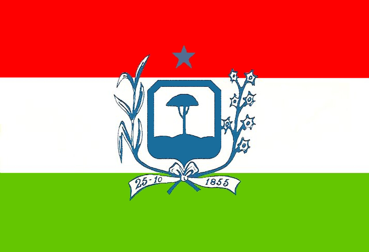 bandeira de Mamanguape PB 